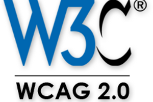 Svetainė atitinka WCAG standartus